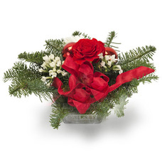 Christmas classic red and white