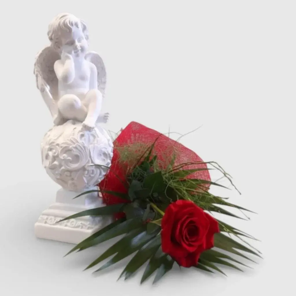 Premium Red Rose & Angel Gift Set