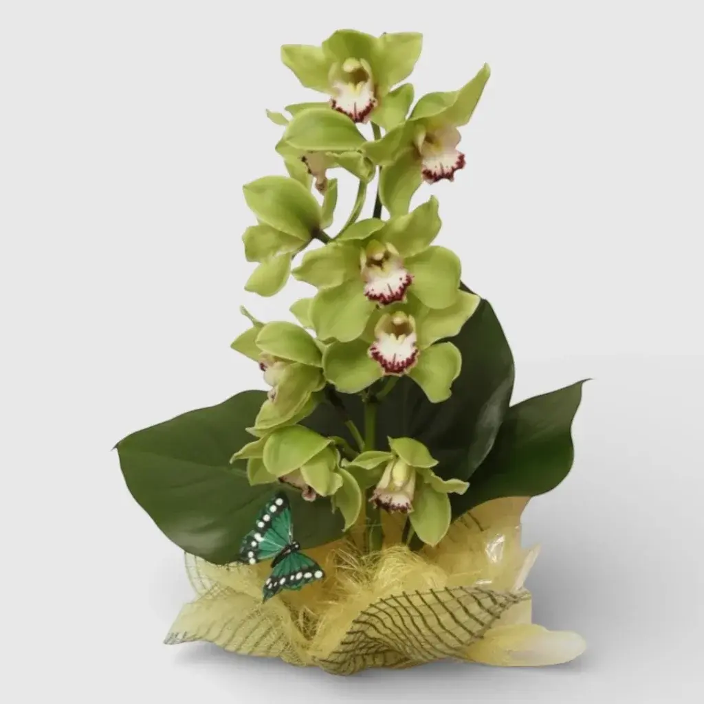 s arrangement "Exotic Orchid"