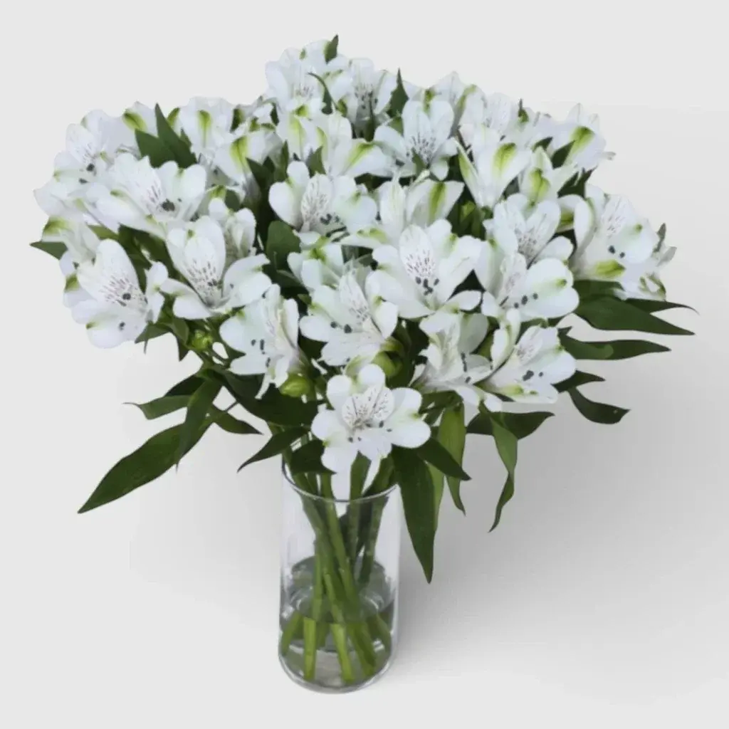 White Alstroemeria Bouquet "Winter Dream"