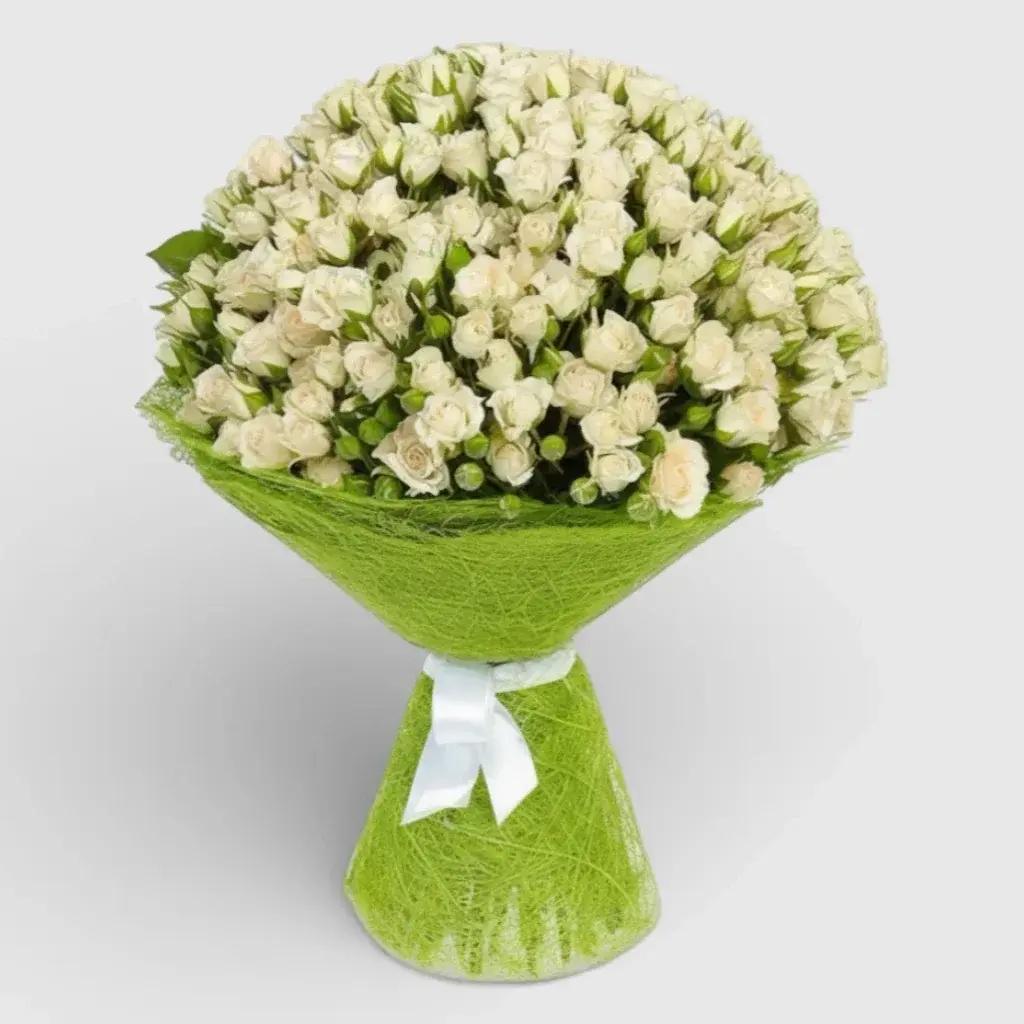Round bouquet of 51 white spray roses