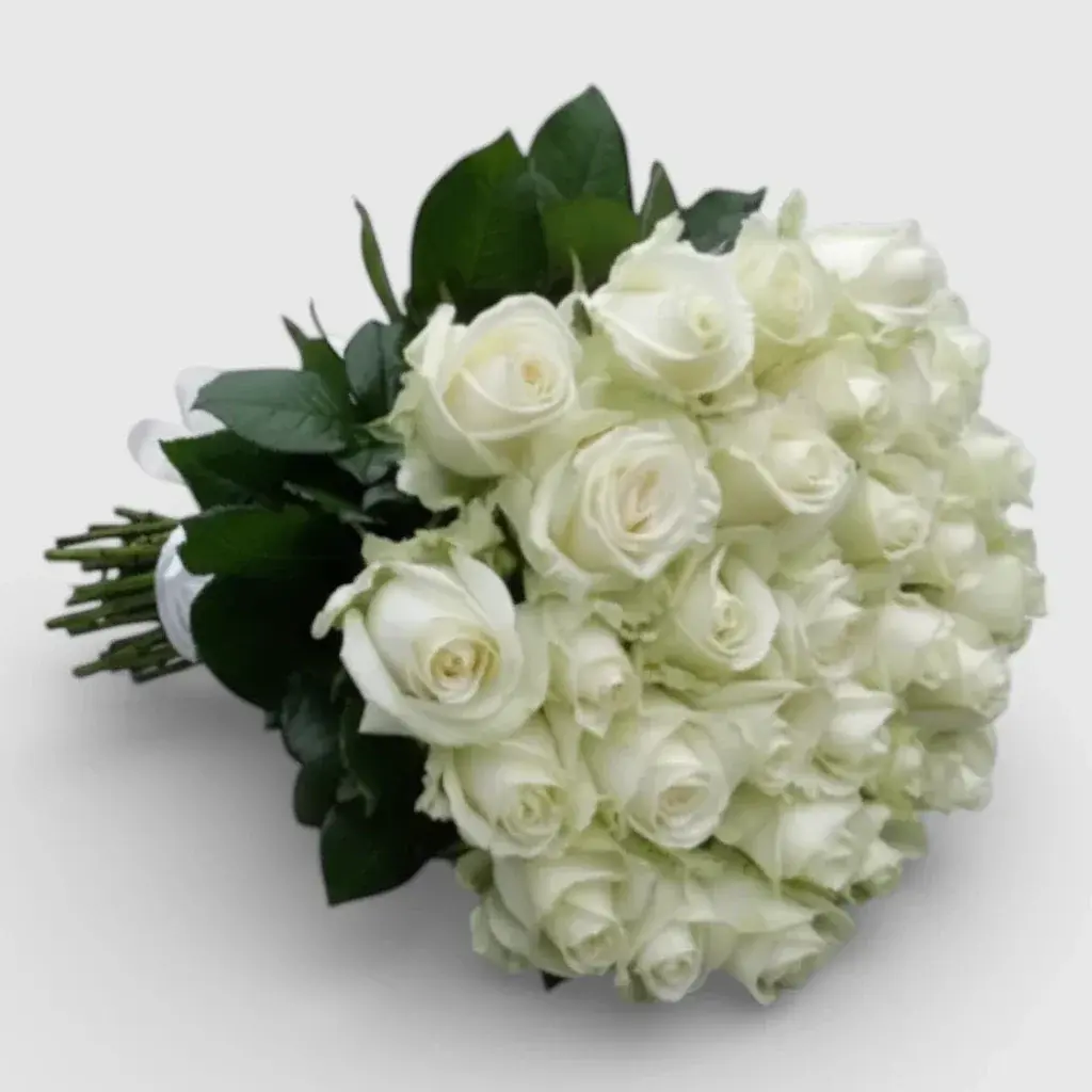 Bouquet of 35 white roses "White swan"