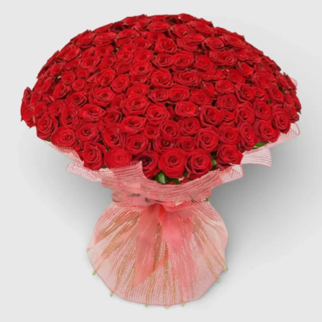 VIP bouquet of 201 red rose