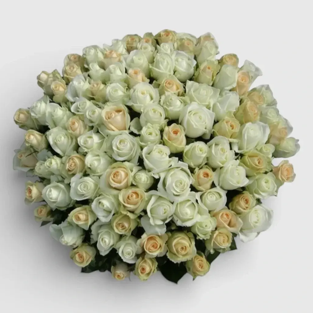 VIP bouquet 101 white and cream roses