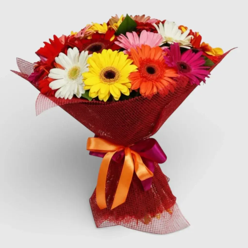 Hand-tied bouquet of 23 multi- colored Gerberas