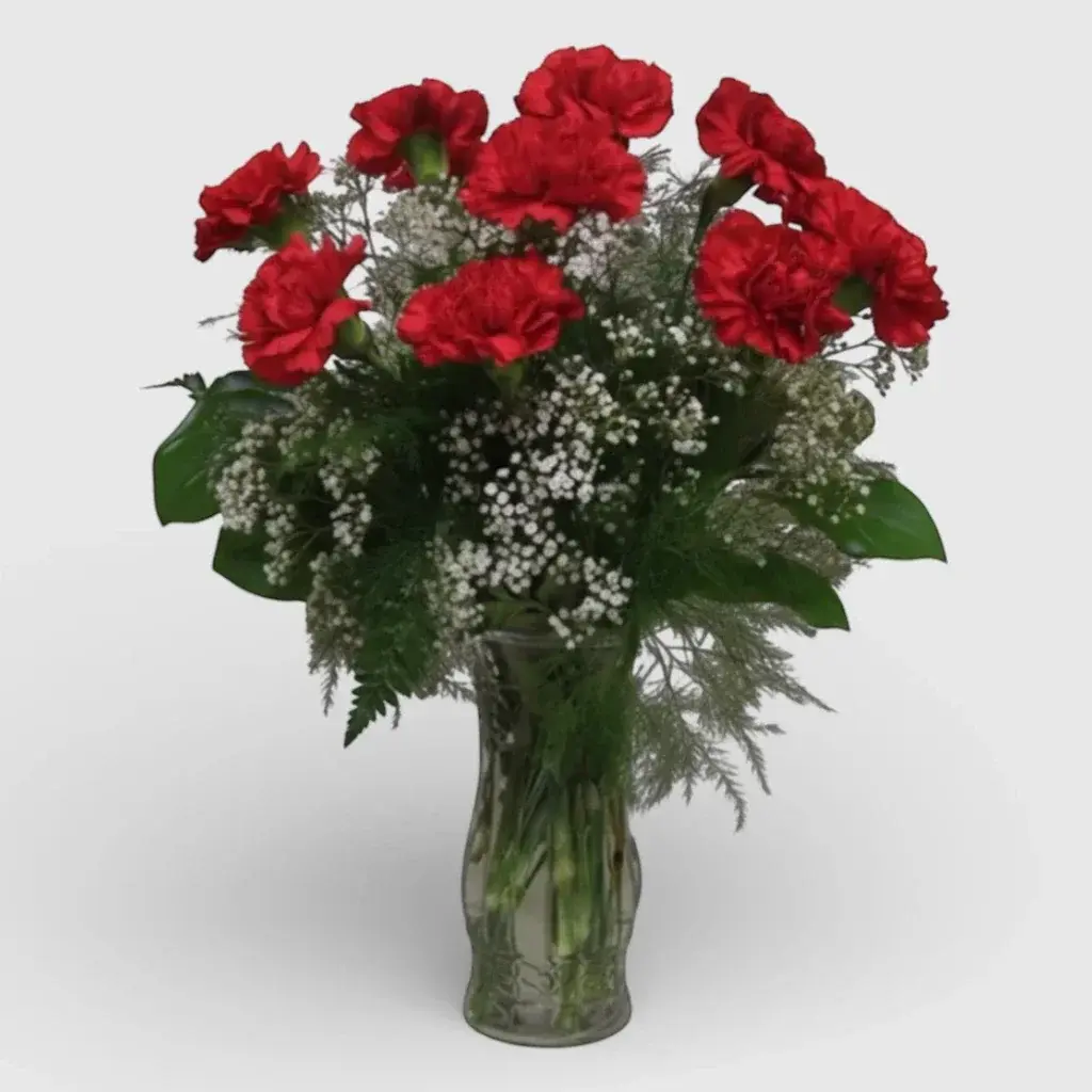 Bouquet of Red Carnations "Countryside Walk"