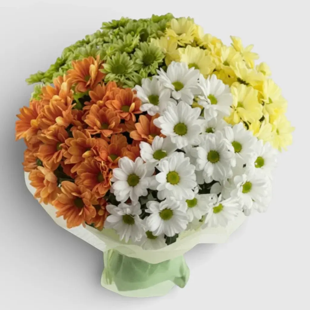 Bouquet of 19 multi-colored chrysanthemums "Shades of Love"