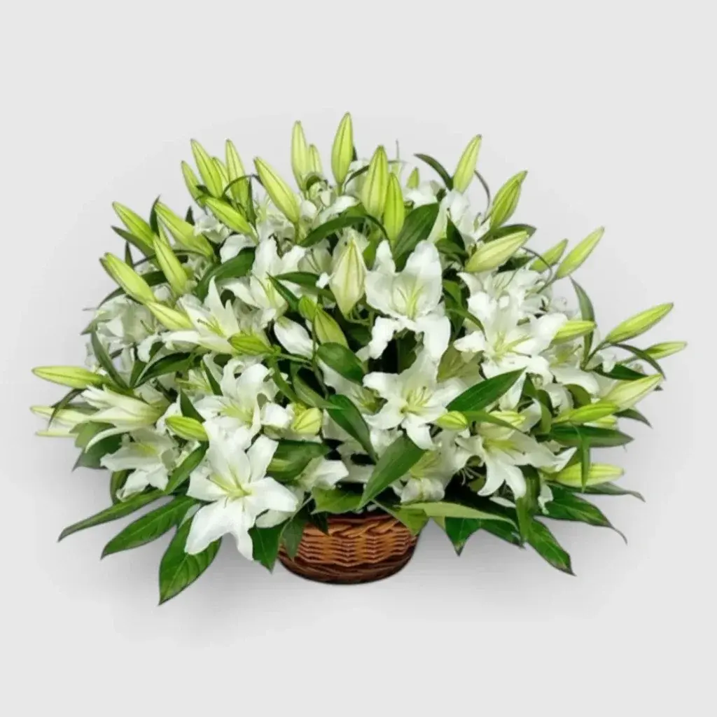 White lilies in a basket