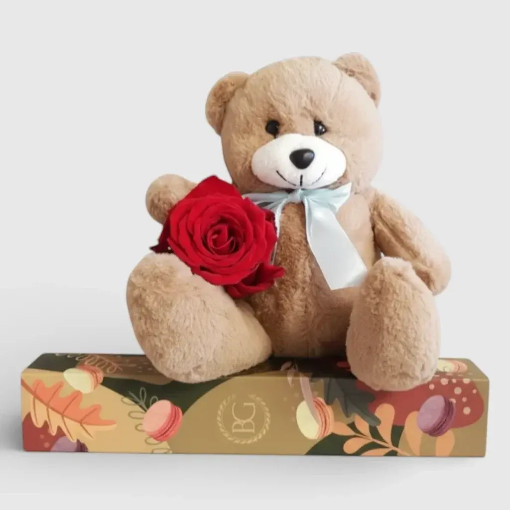 Teddy bear brown with a rose and a gift