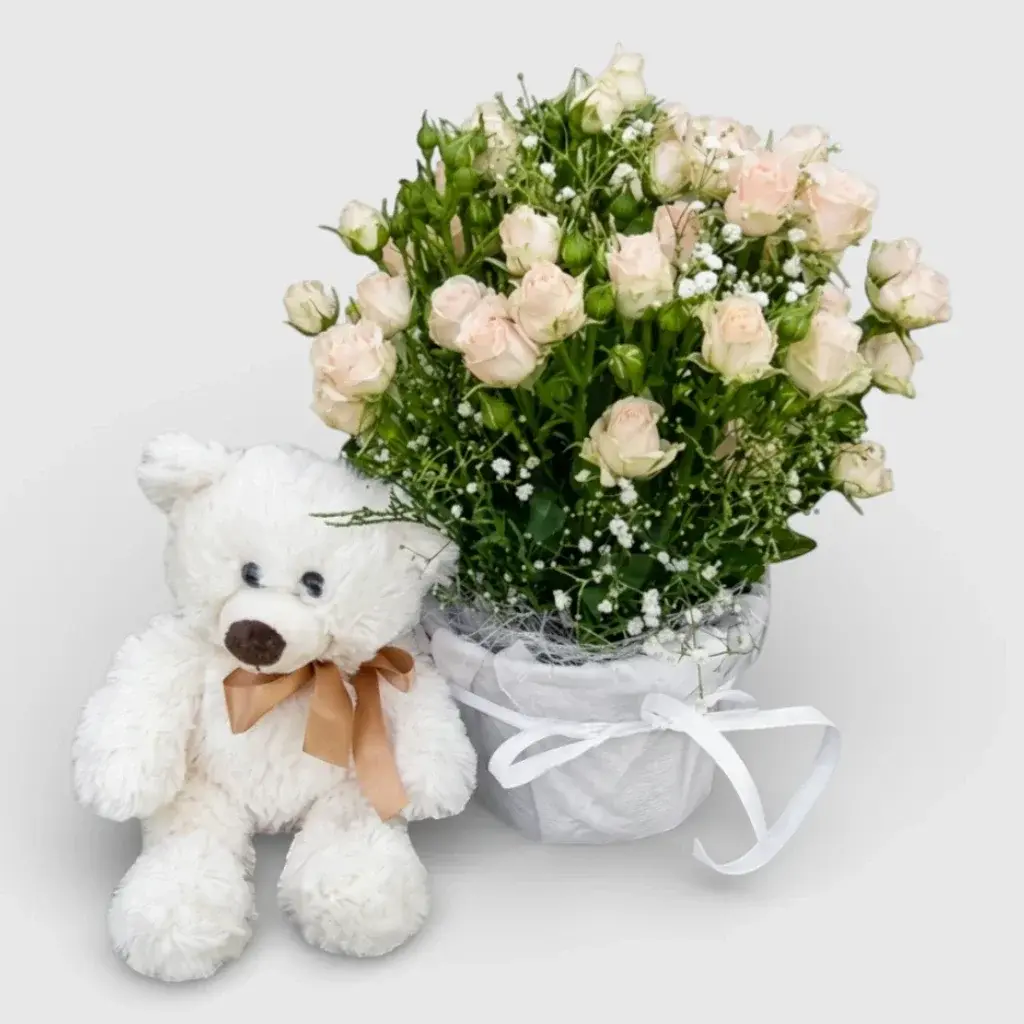 Gift Set "Plush Love" with Spray Rose Basket & Teddy Bear