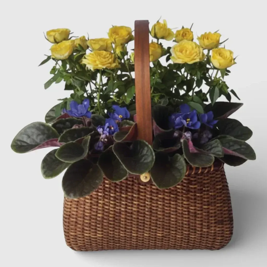 Roses and Violet Garden To Go Basket
