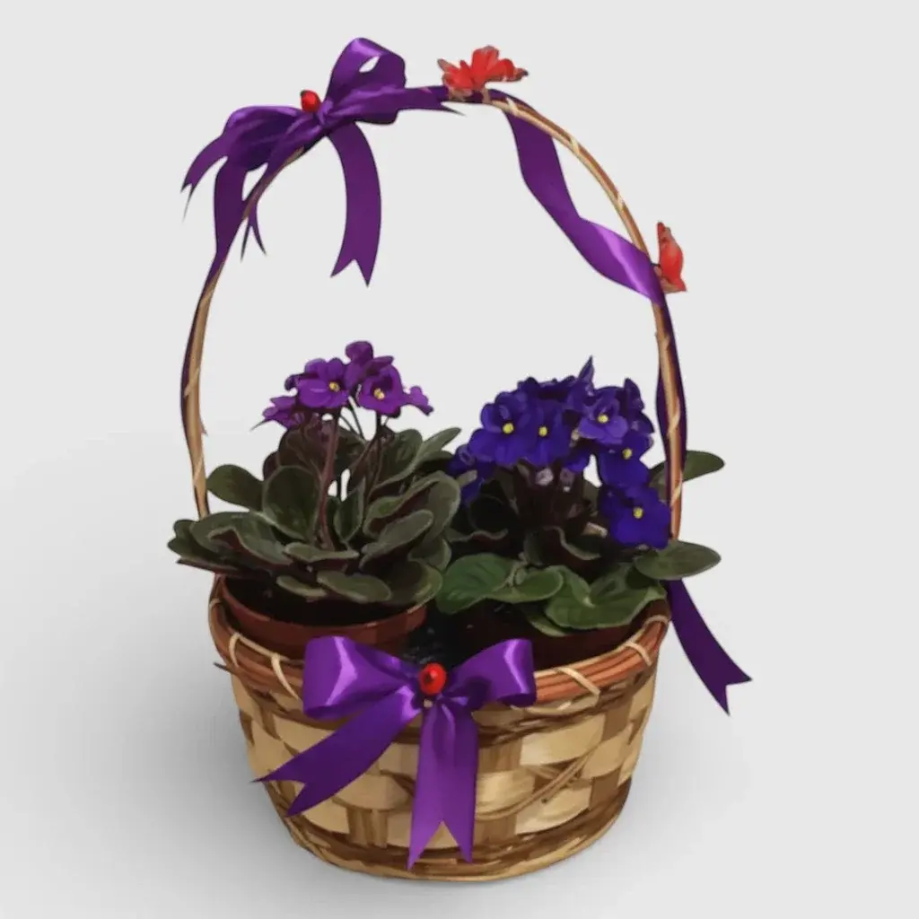 Violet Plants Basket «Violets And Butterflies»