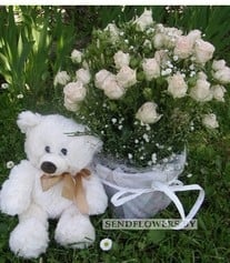 Gift Set "Plush Love" with Spray Rose Basket & Teddy Bear