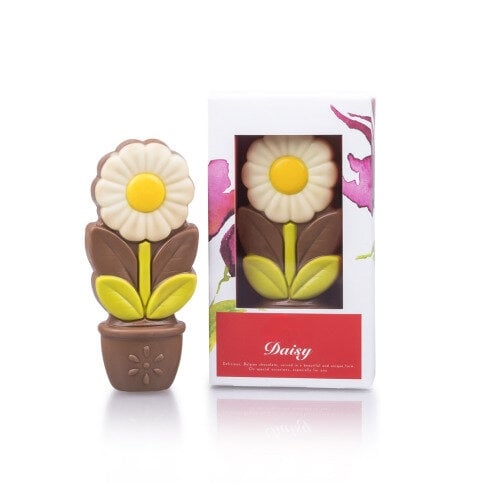 Daisy white - Chocolate flower