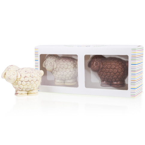 Two mini sheep