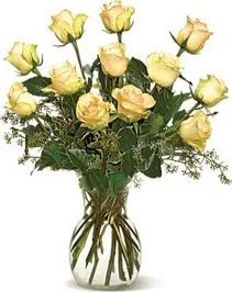 Delicate roses (Classic Composition)