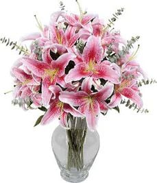 Lilium (Classic Composition)