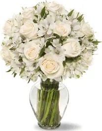 White silk (Classic Composition)