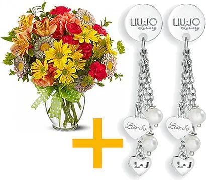 Liu Jo Earrings Offer (Classic Composition)