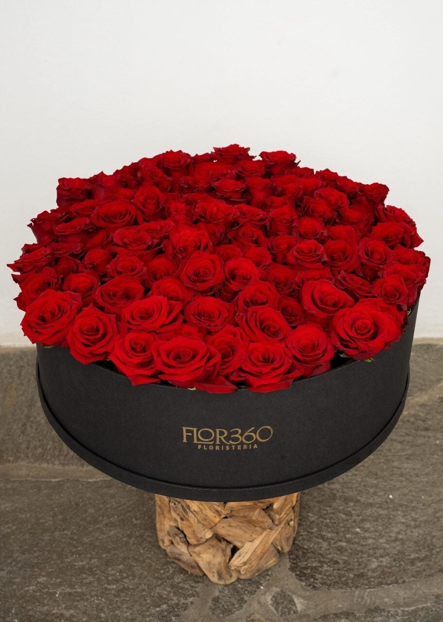 100 Roses