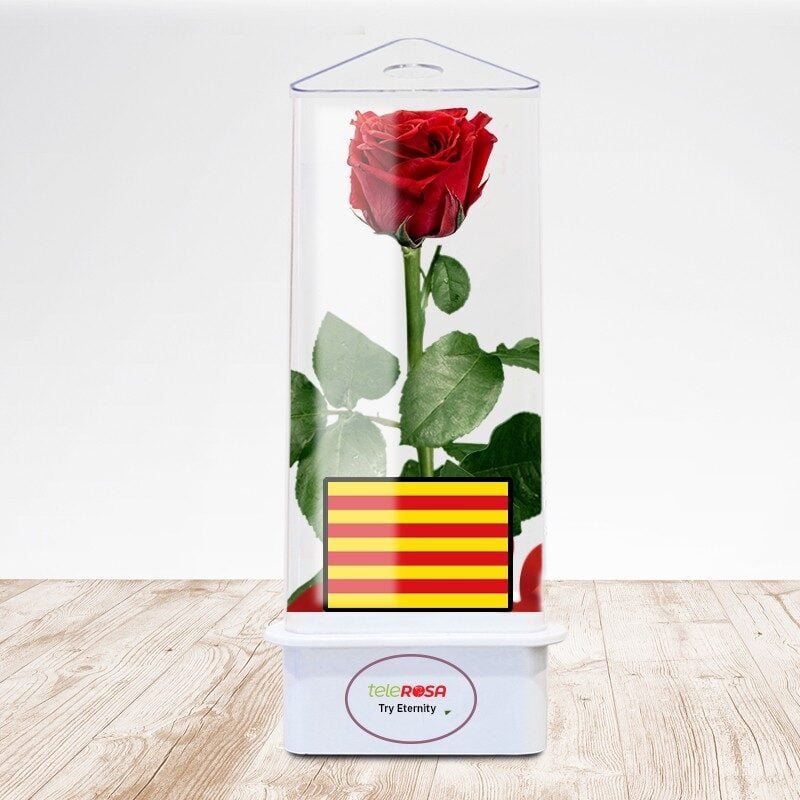 Eternal Rose Sant Jordi