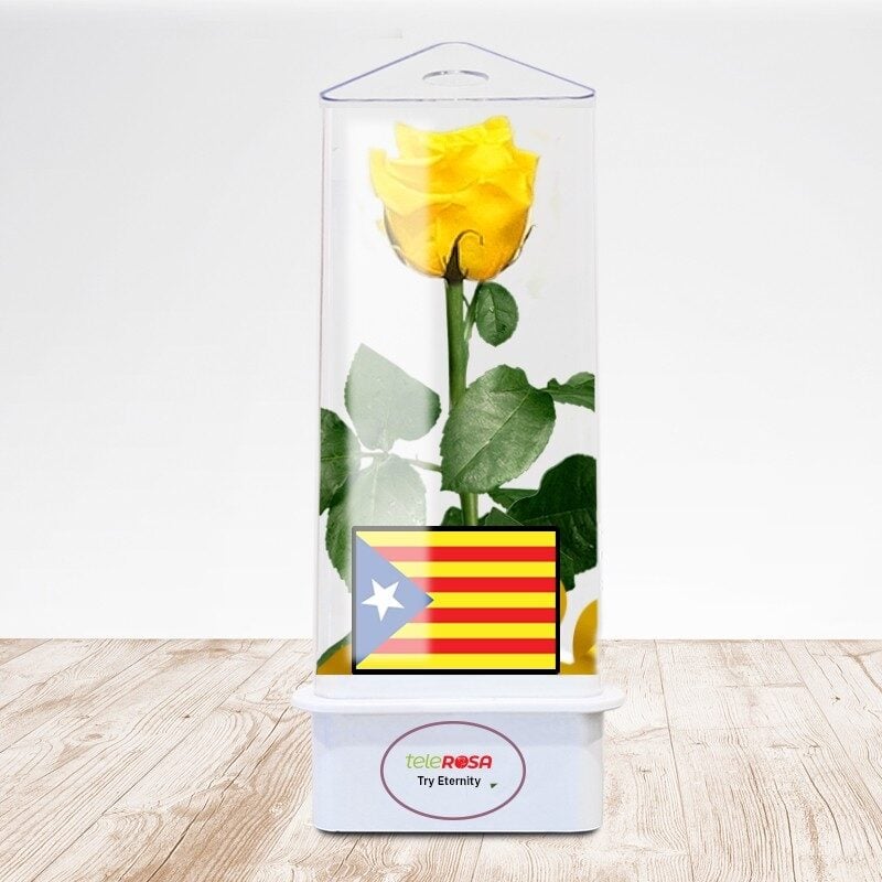 Estelada Eternal Rose
