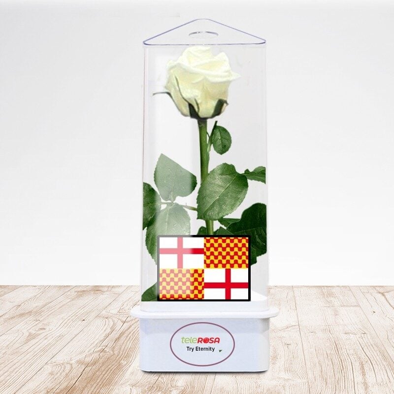 White Rose of Tabarnia
