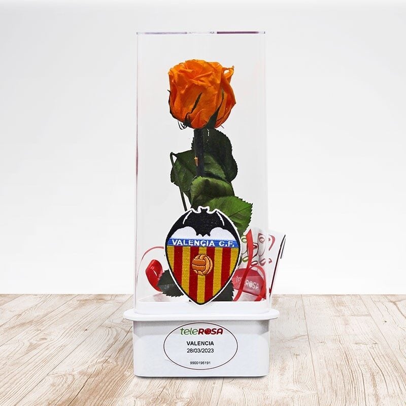 Eternal Rose Valencia