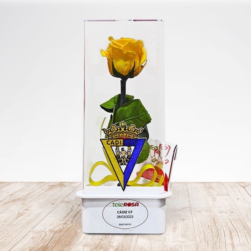 Eternal Rose of Cadiz CF
