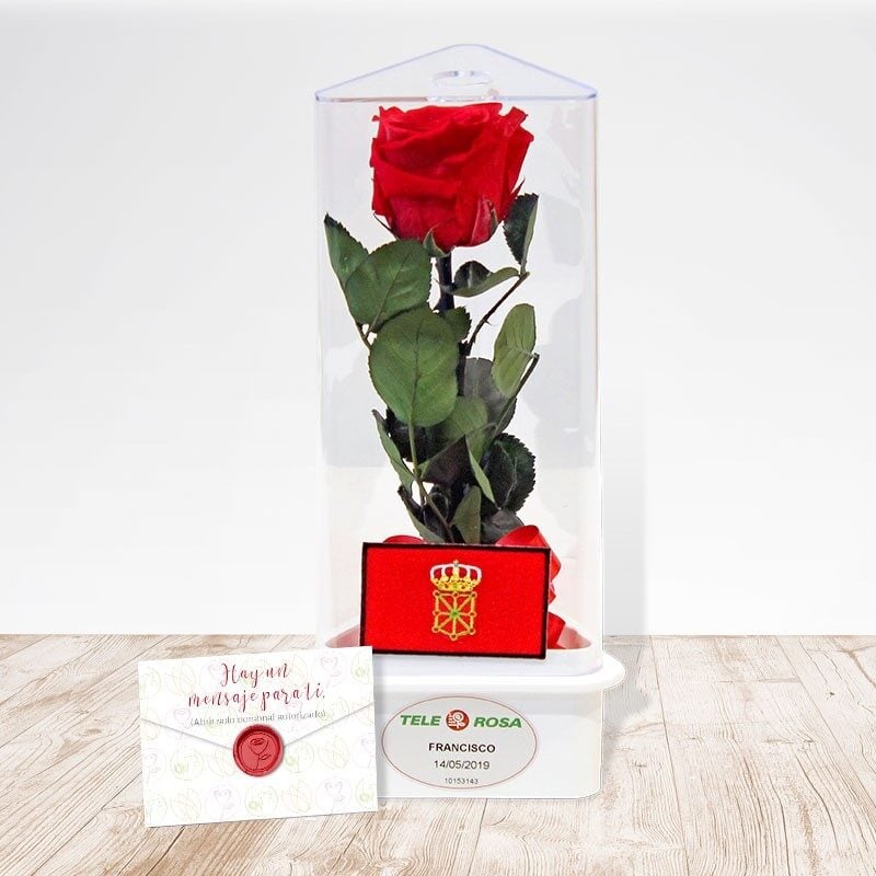 Navarra eternal rose