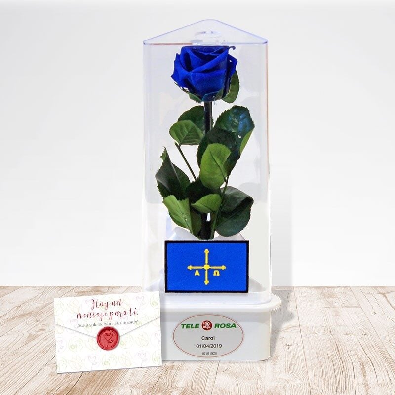 Eternal Rose Asturias