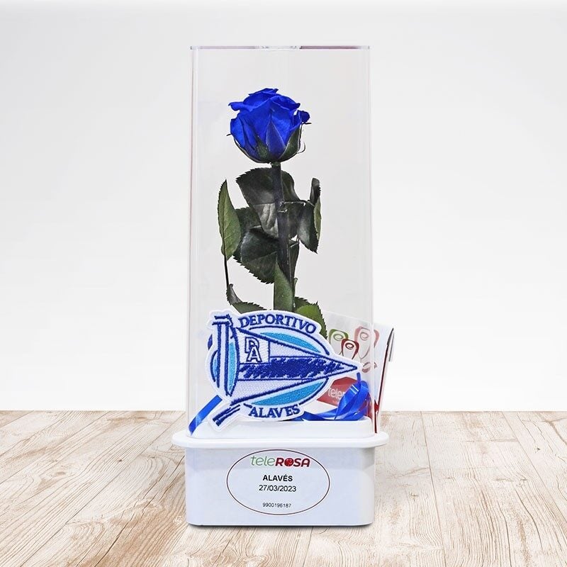 Eternal Rose Alaves