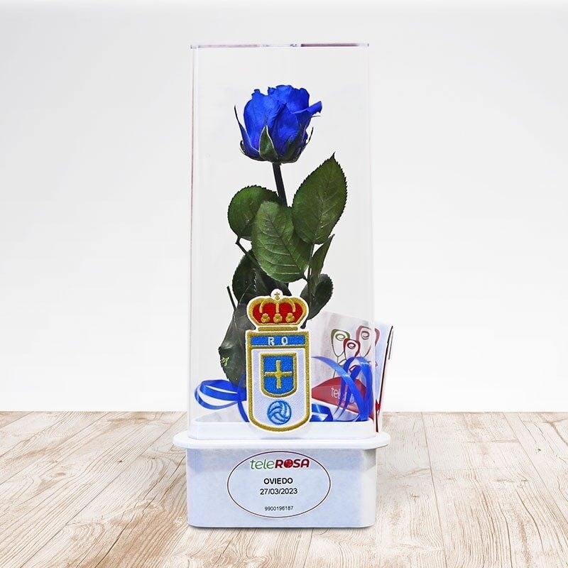 Eternal Rose Real Oviedo