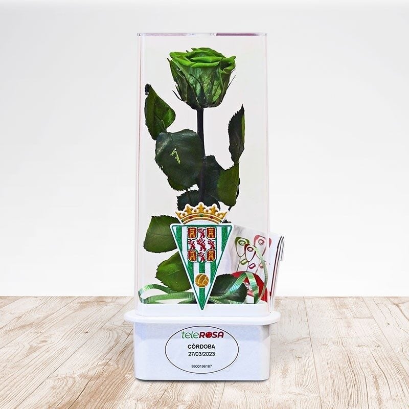 Eternal Rose Cordoba C.F