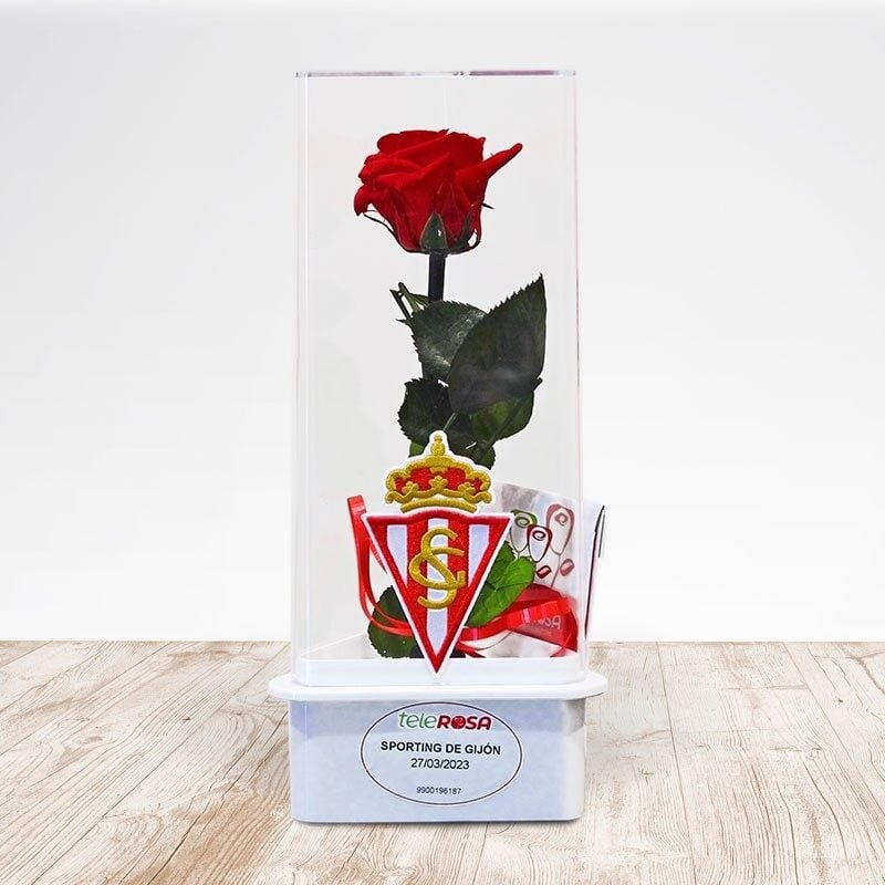 Eternal Rose Sporting de Gijon