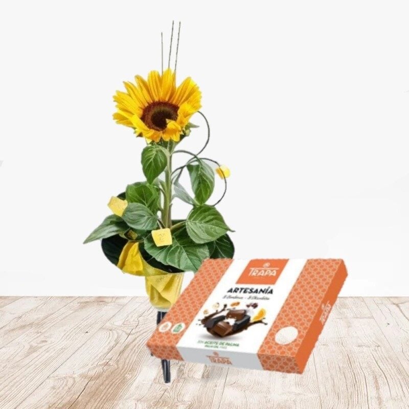 Sunflower Chocolate (Normal)