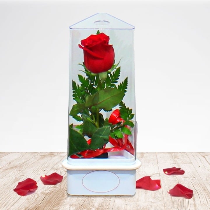 TryRose