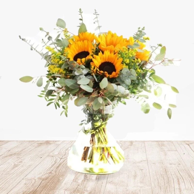 Dance of Sunflowers (Normal)