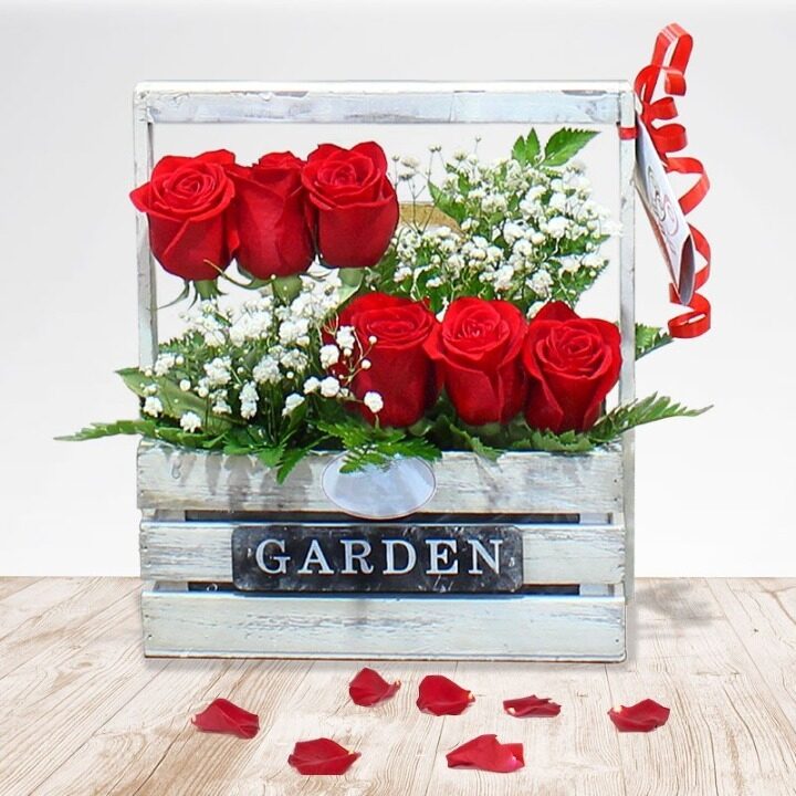 Rose Garden
