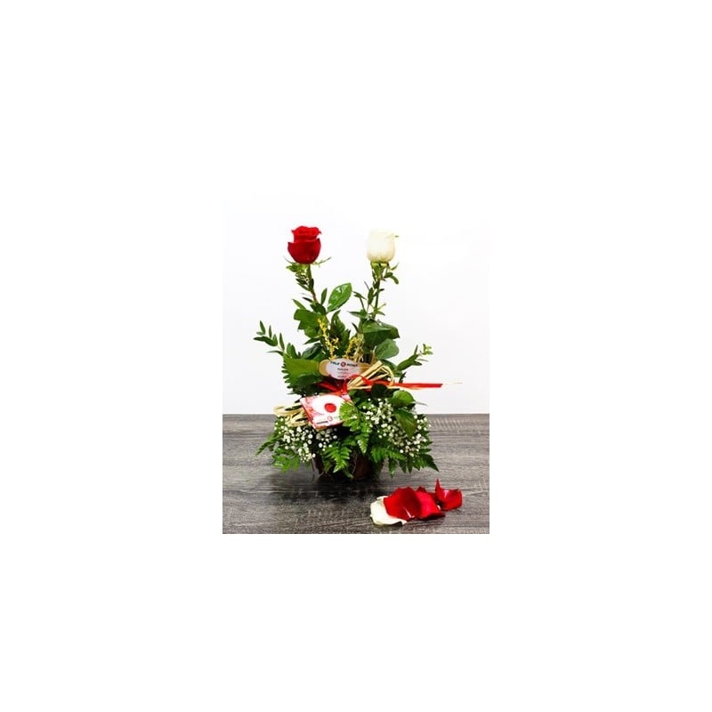 Duet Roses