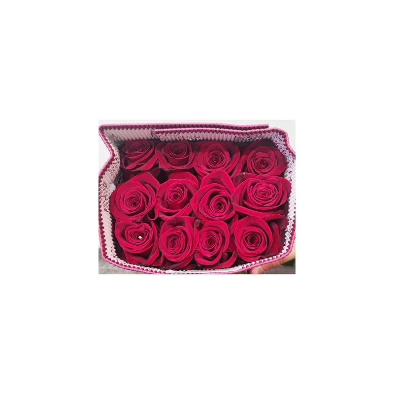 Pack of 25 Roses