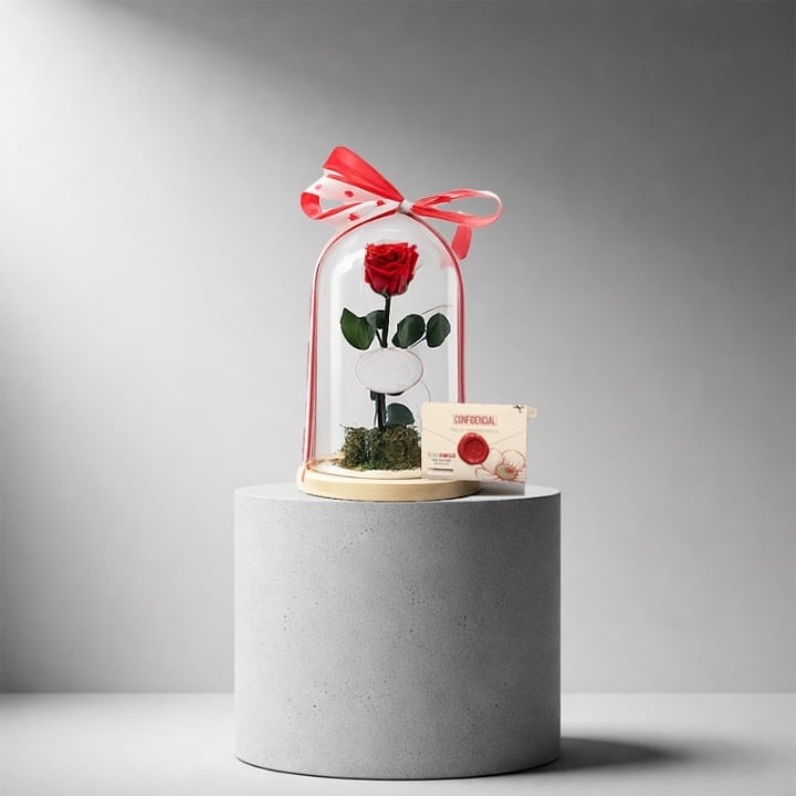 Beauty And Beast Rose