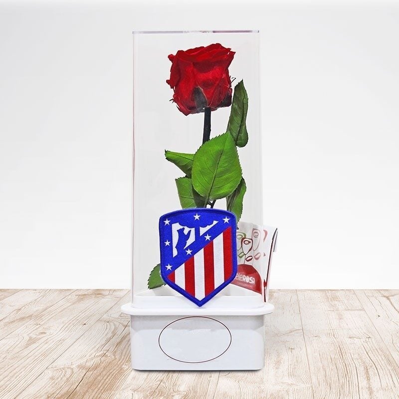 Eternal Rose RM