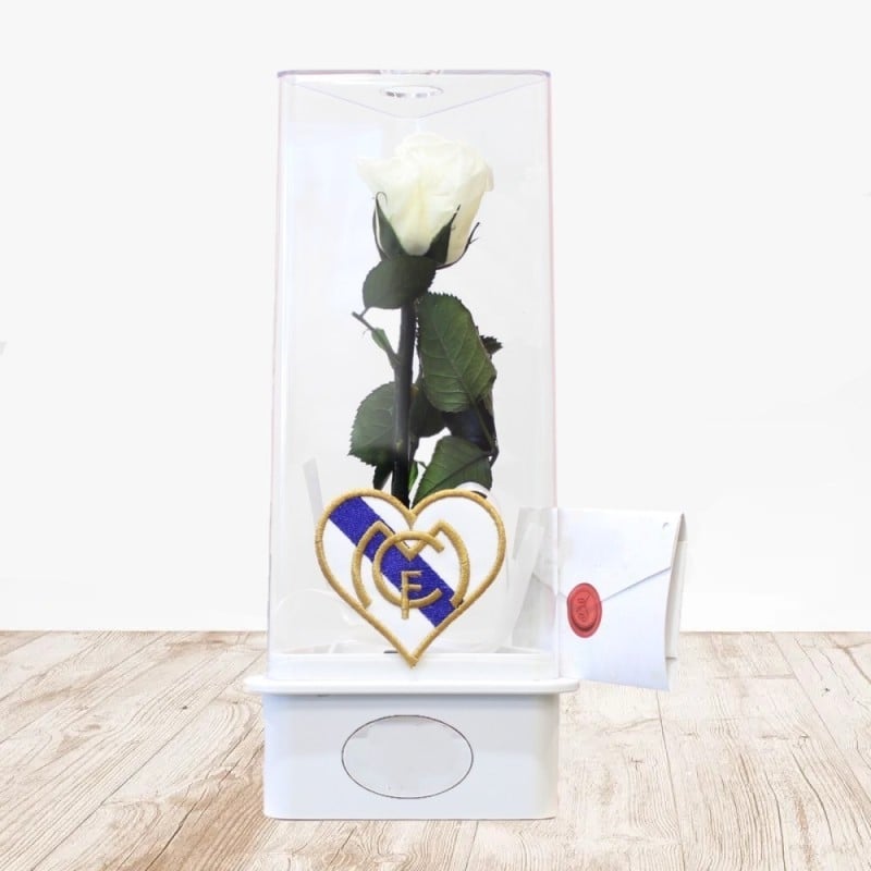 Eternal Rose FCB