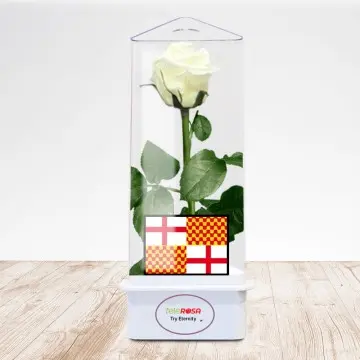 White Rose of Tabarnia