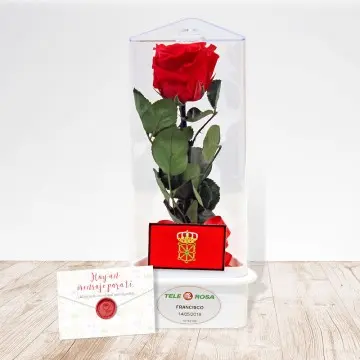 Navarra eternal rose