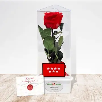 Madrid Eternal Rose
