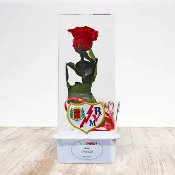 Eternal Rose Rayo Vallecano
