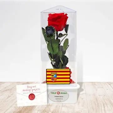 Aragon Eternal Rose