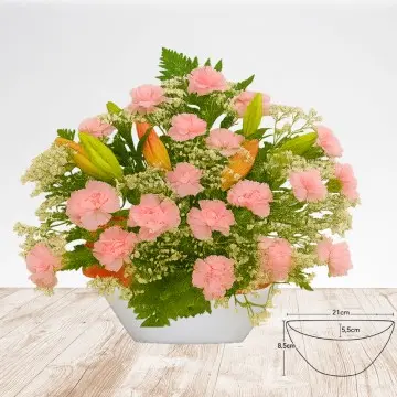 Carnations & Lily Center B